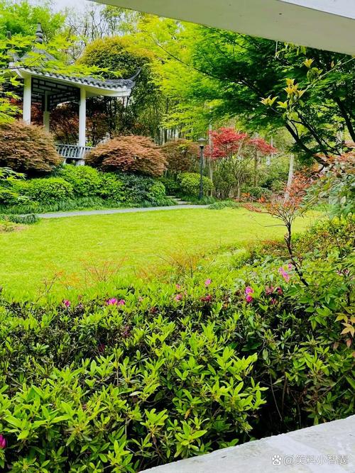 岳阳适合养什么花,市花和市树是什么,岳阳有什么花?-第5张图片-优品飞百科 岳阳适合养什么花,市花和市树是什么,岳阳有什么花?-第5张图片-优品飞百科