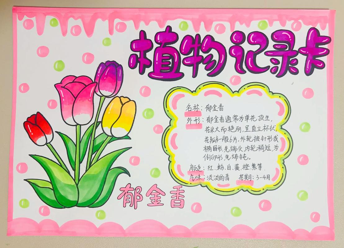 郁金香是哪国的国花，有什么寓意，郁金香来自哪个国家的国花？-第6张图片-优品飞百科