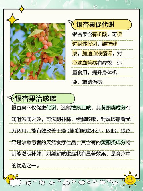 银杏果什么时候成熟,银杏果的作用,银杏果何时成熟?-第1张图片-优品飞百科 银杏果什么时候成熟,银杏果的作用,银杏果何时成熟?-第1张图片-优品飞百科