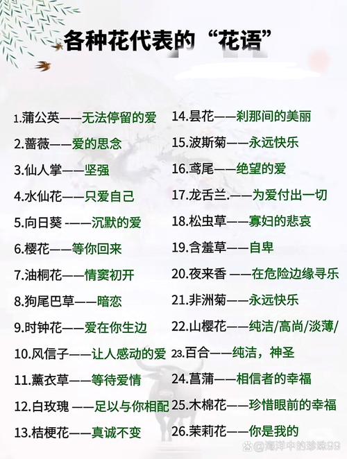 菊花的花语是什么，粉色菊花的花语是什么？-第3张图片-优品飞百科