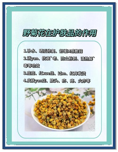 菊花的花语是什么，粉色菊花的花语是什么？-第5张图片-优品飞百科