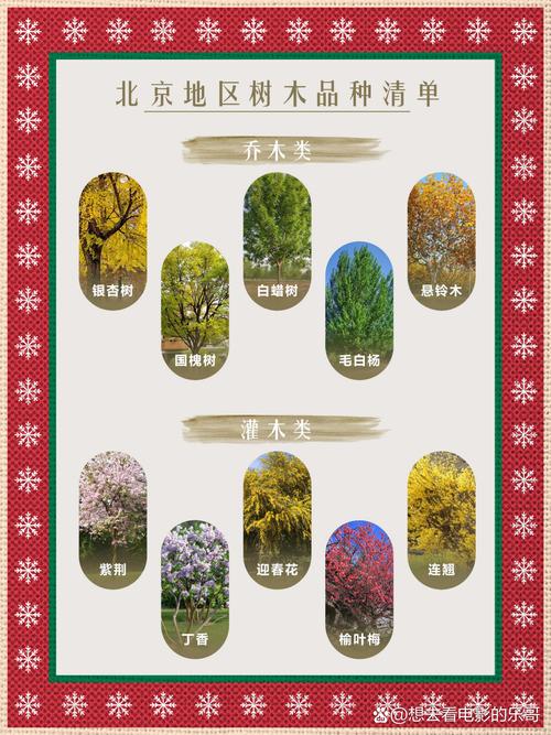 北京绿化八大树种？北京城市绿化树种？-第3张图片-优品飞百科
