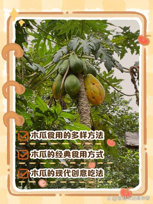 木瓜的功效与作用，木瓜怎么吃更丰胸？木瓜的功效和怎么用？-第4张图片-优品飞百科