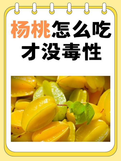 杨桃的功效与作用,杨桃的功效与作用禁忌 适合人群-第3张图片-优品飞百科 杨桃的功效与作用,杨桃的功效与作用禁忌 适合人群-第3张图片-优品飞百科