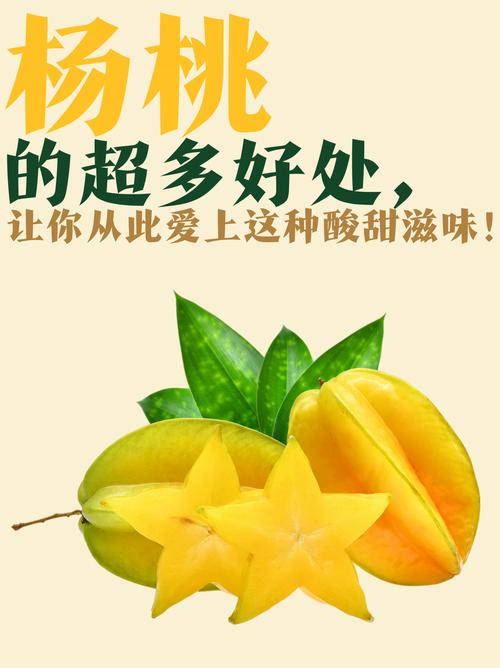 杨桃的功效与作用,杨桃的功效与作用禁忌 适合人群-第6张图片-优品飞百科 杨桃的功效与作用,杨桃的功效与作用禁忌 适合人群-第6张图片-优品飞百科