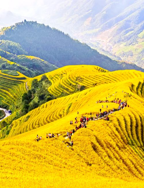 龙脊梯田天气预报?龙脊梯田天气预报15天准确一览表?-第8张图片-优品飞百科 龙脊梯田天气预报?龙脊梯田天气预报15天准确一览表?-第8张图片-优品飞百科