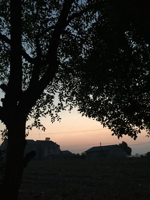 湖北省荆州市天气预报？湖北省荆州市天气预报一周？-第2张图片-优品飞百科