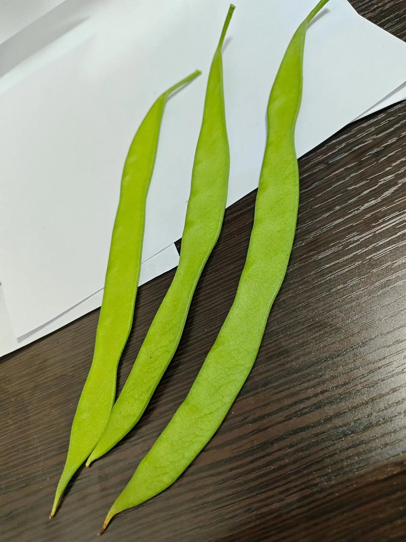 紫荆花会结果吗,紫荆花的介绍,紫荆花会结果子吗?-第2张图片-优品飞百科 紫荆花会结果吗,紫荆花的介绍,紫荆花会结果子吗?-第2张图片-优品飞百科