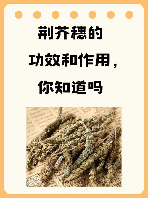 荆芥穗的功效与作用，中药荆芥穗的功效与作用？-第4张图片-优品飞百科