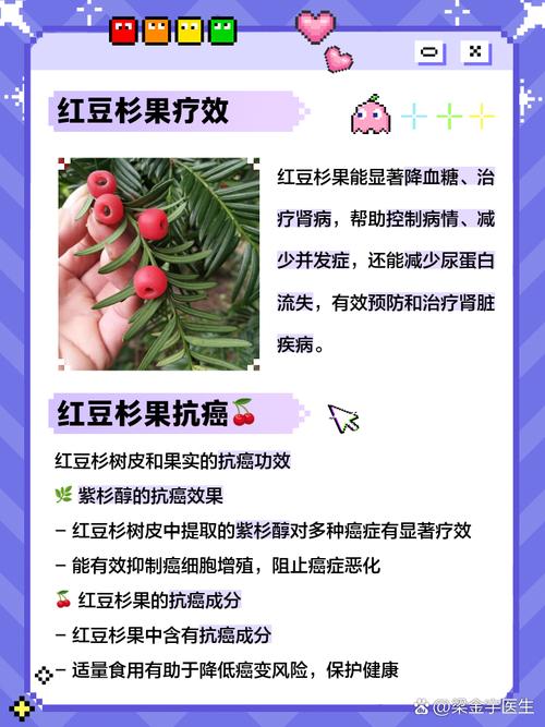 红豆杉果实能吃吗,是否有毒?,红豆杉果实能食用吗-第3张图片-优品飞百科 红豆杉果实能吃吗,是否有毒?,红豆杉果实能食用吗-第3张图片-优品飞百科