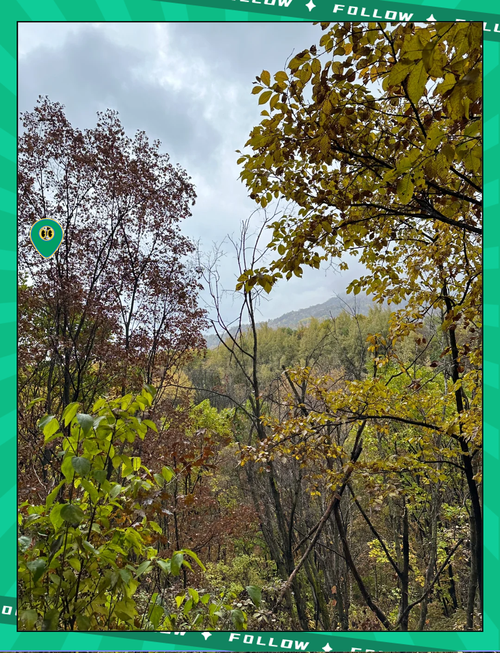 北京15天天气预报，北京15天天气预报?？-第5张图片-优品飞百科