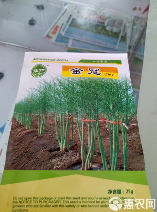 石刁柏的功效与作用，石刁柏的功效与作用禁忌-第1张图片-优品飞百科