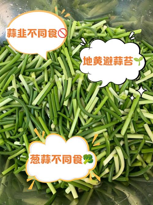 石刁柏的功效与作用，石刁柏的功效与作用禁忌-第2张图片-优品飞百科