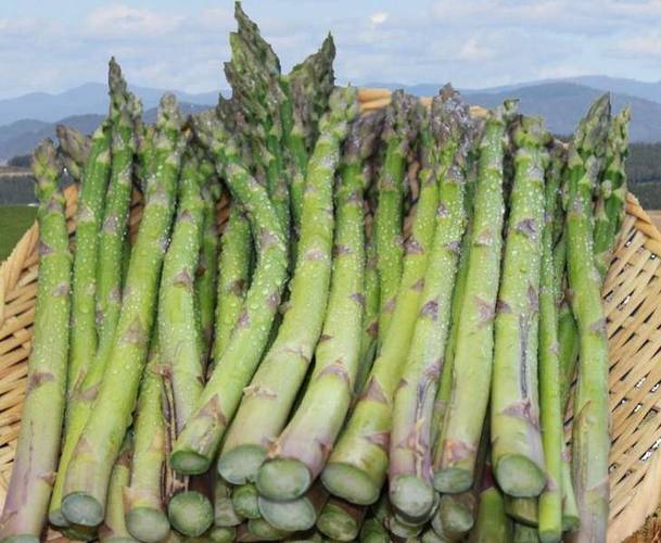 石刁柏的功效与作用，石刁柏的功效与作用禁忌-第6张图片-优品飞百科