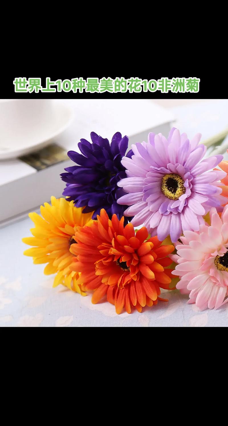 前十最漂亮的花，前十最漂亮的花简笔画-第6张图片-优品飞百科
