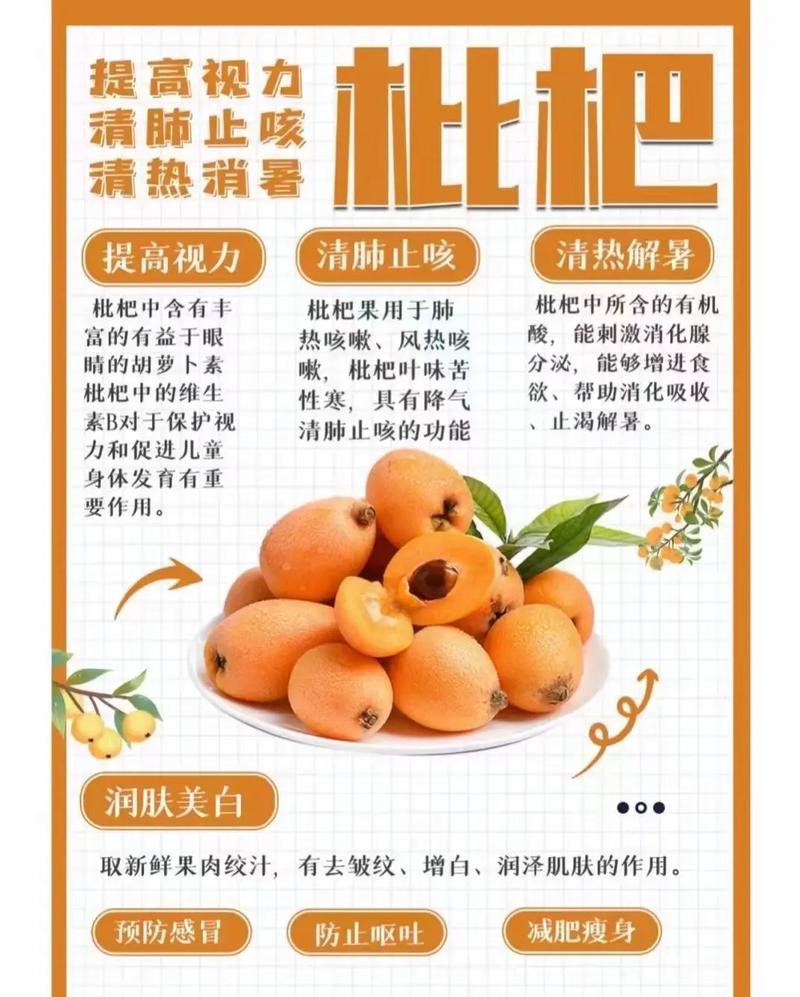 枇杷果的养殖方法,枇杷果的养殖方法和管理?-第3张图片-优品飞百科 枇杷果的养殖方法,枇杷果的养殖方法和管理?-第3张图片-优品飞百科