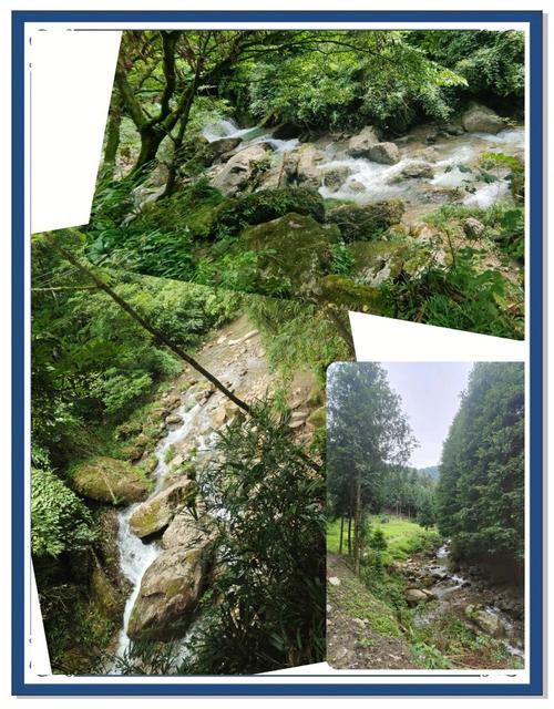 天气预报大邑，天气预报大邑15天查询结果是什么？-第3张图片-优品飞百科