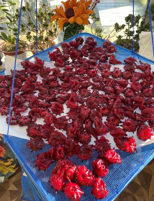 洛神花怎么泡茶喝，洛神花泡茶喝有什么功效？-第7张图片-优品飞百科