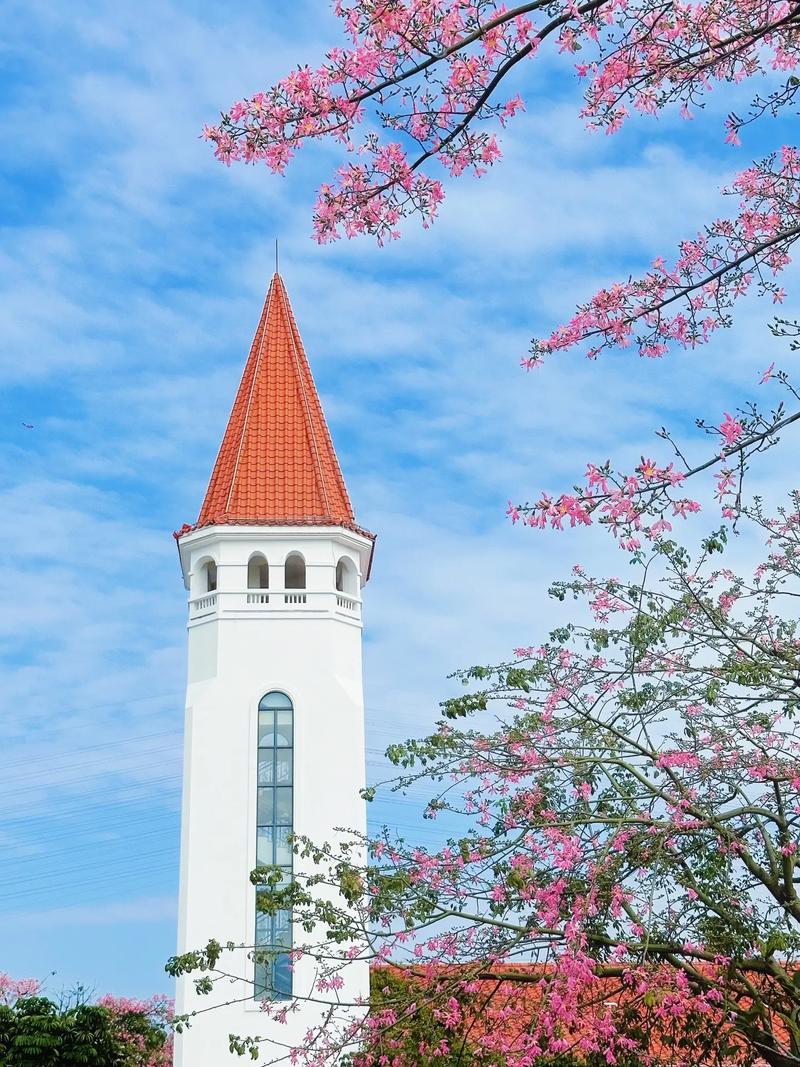 珠海适合养什么花，市花和市树是什么？珠海适合种什么花？-第4张图片-优品飞百科