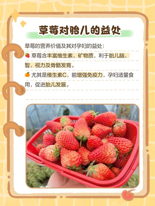 草莓吃多了会怎么样，孕妇能吃草莓吗？孕妇吃大量草莓？-第3张图片-优品飞百科