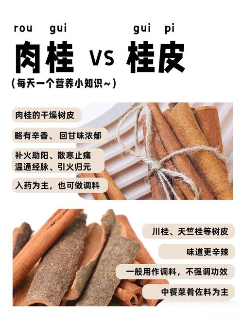 桂花树市场价，桂花树图片，桂花树市场费用多少钱一棵？-第6张图片-优品飞百科