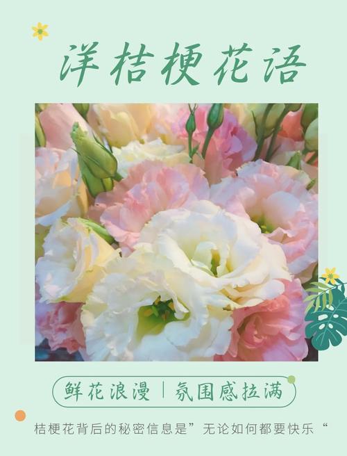 桔梗的花语，白色桔梗花语？白色桔梗花的话语？-第3张图片-优品飞百科