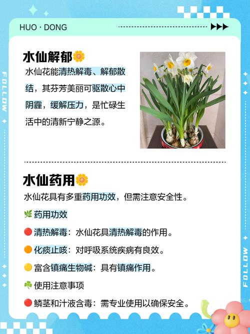 水仙花中毒怎么办，水仙花中毒怎么办小妙招？-第1张图片-优品飞百科