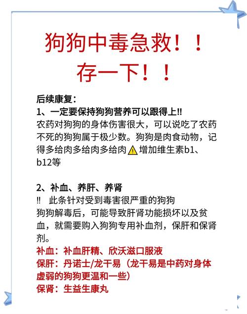 水仙花中毒怎么办，水仙花中毒怎么办小妙招？-第3张图片-优品飞百科