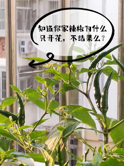 淅川县天气预报15天，淅川县 天气？-第5张图片-优品飞百科