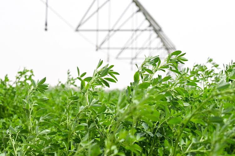 新疆和田今天的天气预报，和田市今天的天气？-第1张图片-优品飞百科