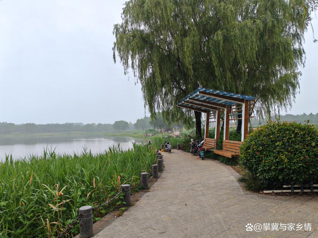 宁阳天气预报15天?宁阳天气情况?-第5张图片-优品飞百科 宁阳天气预报15天?宁阳天气情况?-第5张图片-优品飞百科