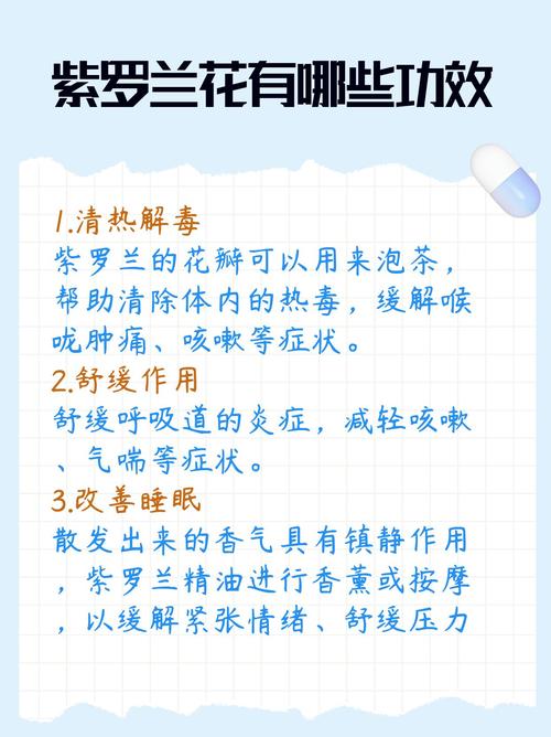 紫罗兰的功效与作用,紫罗兰手镯的功效与作用?-第1张图片-优品飞百科 紫罗兰的功效与作用,紫罗兰手镯的功效与作用?-第1张图片-优品飞百科