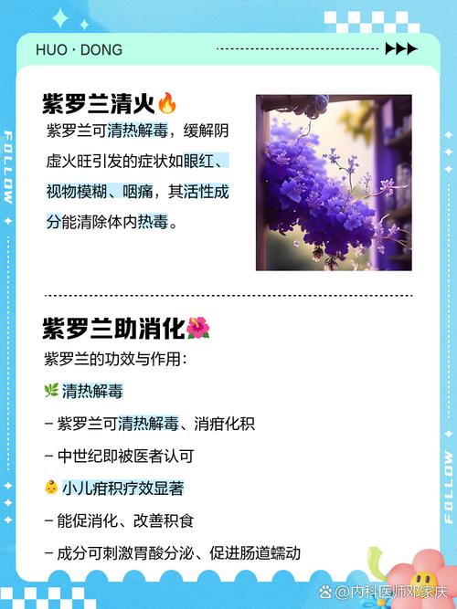 紫罗兰的功效与作用,紫罗兰手镯的功效与作用?-第2张图片-优品飞百科 紫罗兰的功效与作用,紫罗兰手镯的功效与作用?-第2张图片-优品飞百科