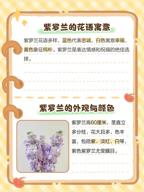 紫罗兰的功效与作用,紫罗兰手镯的功效与作用?-第4张图片-优品飞百科 紫罗兰的功效与作用,紫罗兰手镯的功效与作用?-第4张图片-优品飞百科