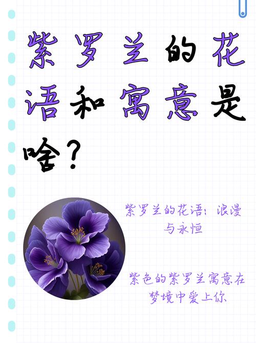 紫罗兰的功效与作用,紫罗兰手镯的功效与作用?-第6张图片-优品飞百科 紫罗兰的功效与作用,紫罗兰手镯的功效与作用?-第6张图片-优品飞百科