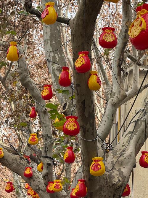 广元适合养什么花，市花和市树是什么，广元市春天赏花的地方-第5张图片-优品飞百科