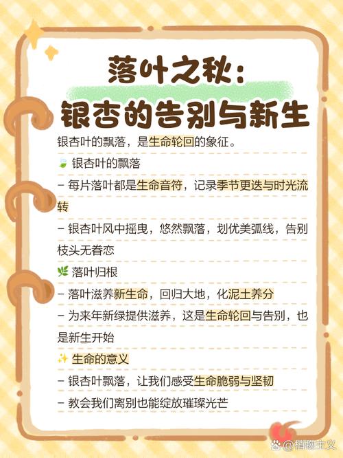 银杏叶寓意？银杏叶的寓意和风水？-第4张图片-优品飞百科