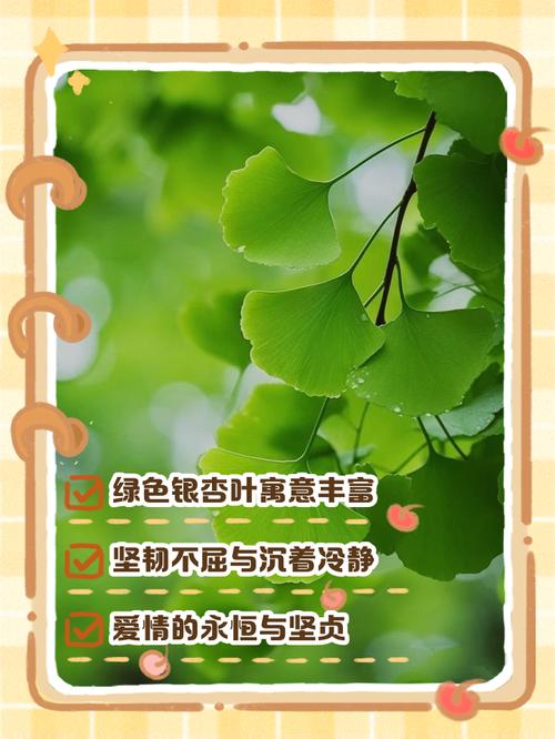 银杏叶寓意？银杏叶的寓意和风水？-第5张图片-优品飞百科