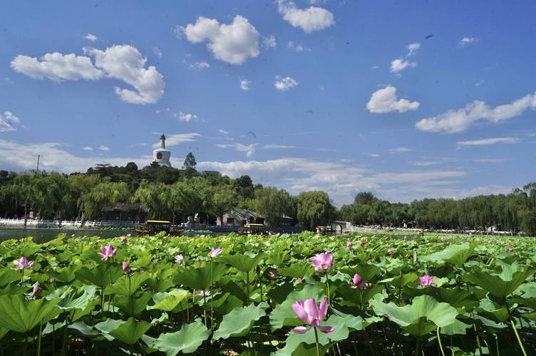 武康天气预报，武康天气预报24小时查询？-第6张图片-优品飞百科