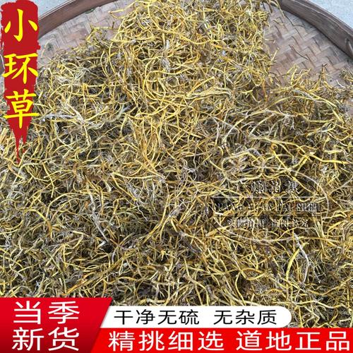 环草石斛的主要价值,环草石斛图片?-第6张图片-优品飞百科 环草石斛的主要价值,环草石斛图片?-第6张图片-优品飞百科