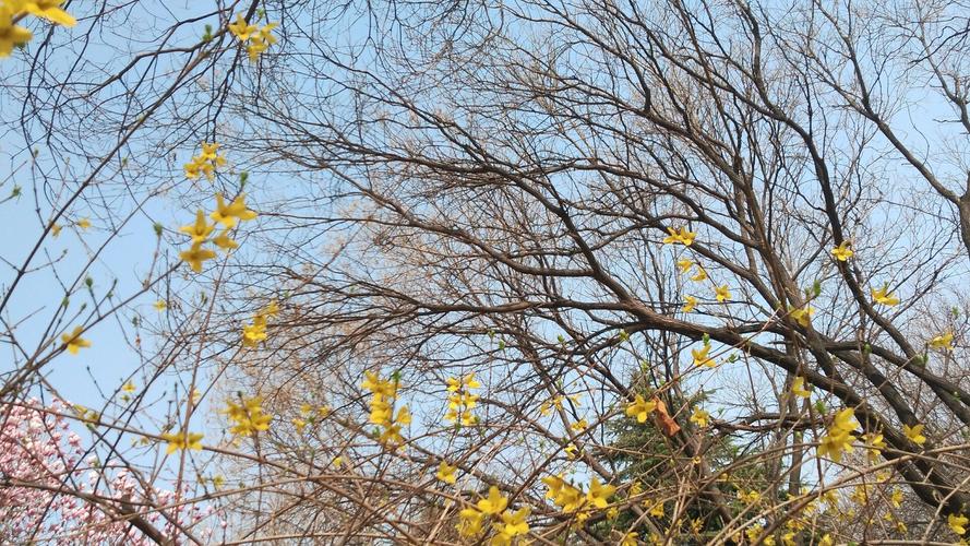 莱芜市天气预报，济南莱芜市天气预报-第7张图片-优品飞百科