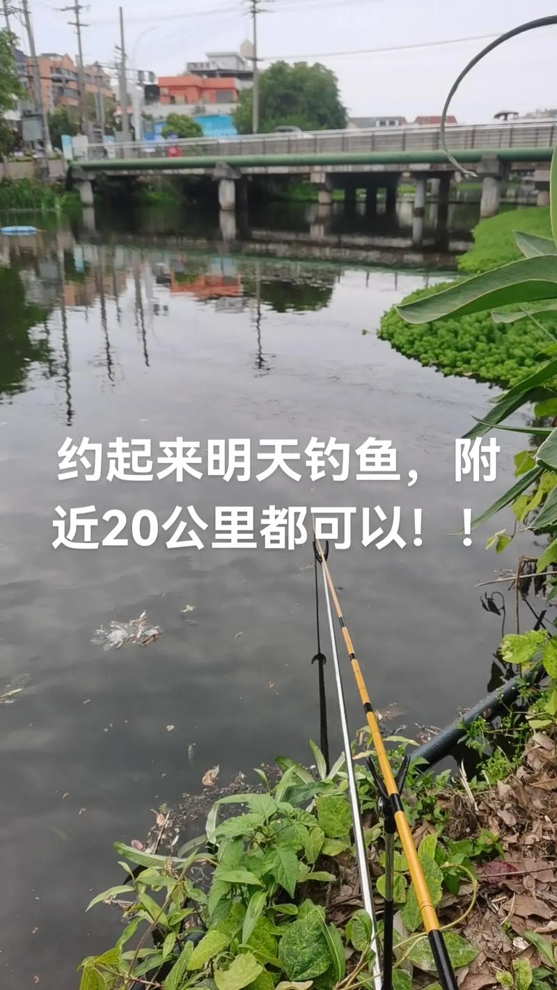 郸城县天气预报15天，郸城县天气预报一周-第5张图片-优品飞百科