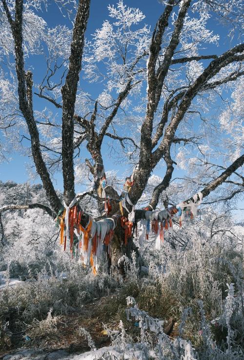 石棉县天气预报，石棉县天气预报天气最新-第6张图片-优品飞百科