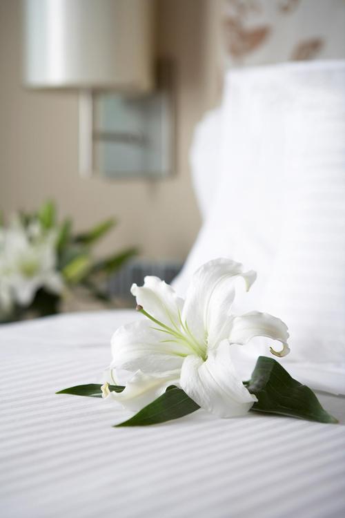 百合花能放卧室吗，百合花能放卧室吗冬天-第4张图片-优品飞百科