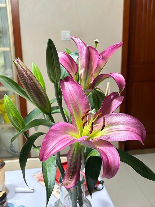 百合花能放卧室吗，百合花能放卧室吗冬天-第7张图片-优品飞百科