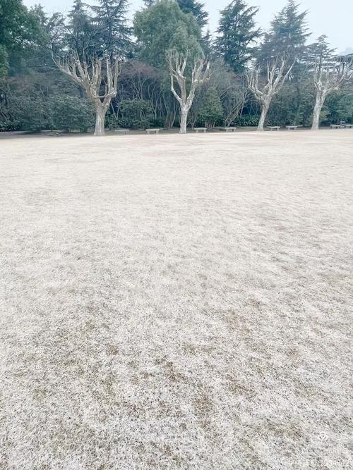 上海嘉定天气预警24小时查询，上海嘉定地区天气预报-第1张图片-优品飞百科