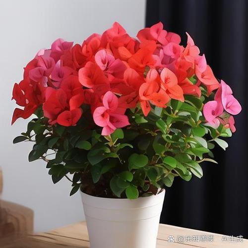 哪些花卉有毒伤人，哪些花卉有毒伤人最严重-第3张图片-优品飞百科