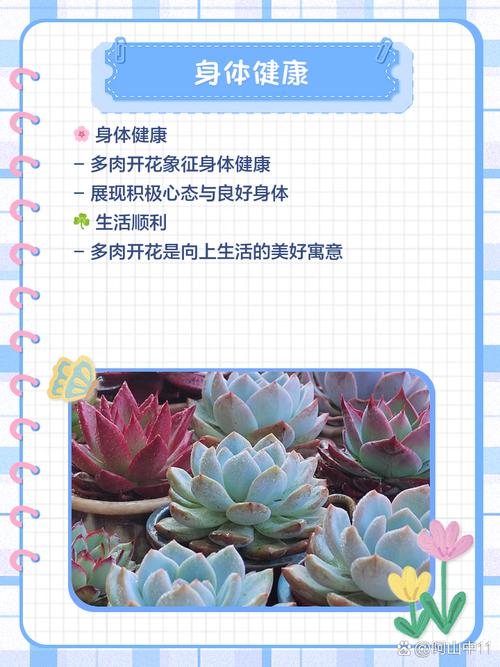 多肉不死鸟的花语,这层含义你知道吗？？多肉不死鸟出状态什么样子？-第3张图片-优品飞百科