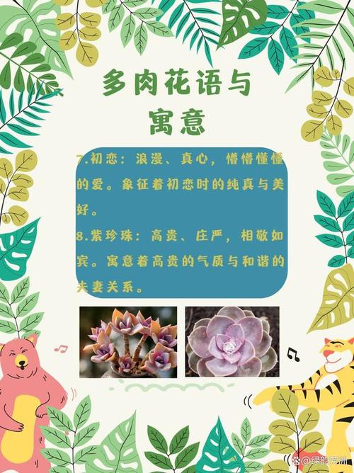 多肉不死鸟的花语,这层含义你知道吗？？多肉不死鸟出状态什么样子？-第6张图片-优品飞百科