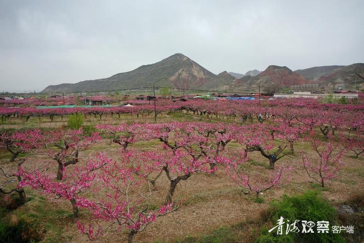 民和县天气预报，民和天气情况？-第3张图片-优品飞百科